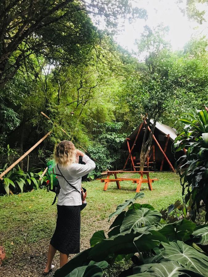 Bambu Glamping Ecolodge Medellín Extérieur photo